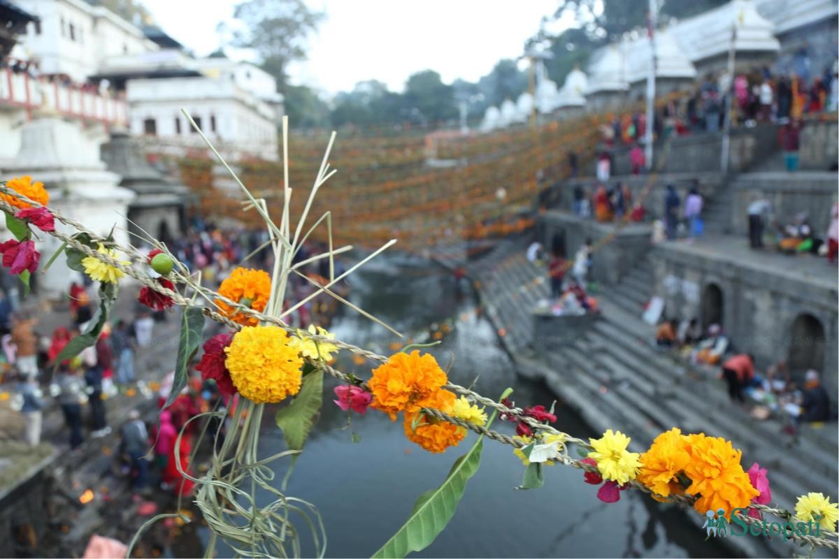 haribodhini at pashupati (1).jpeg